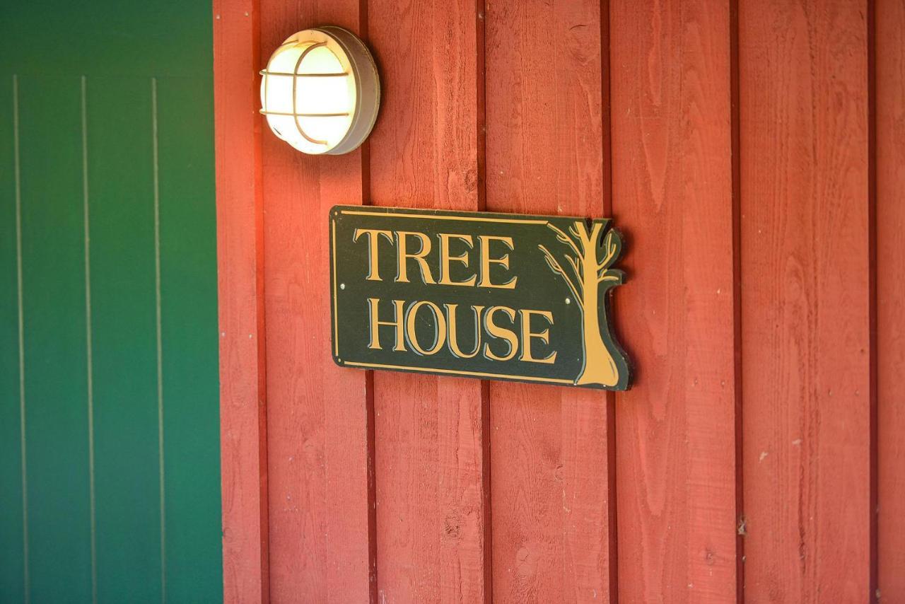 Salishan Tree House Suite Cowichan Bay Eksteriør billede