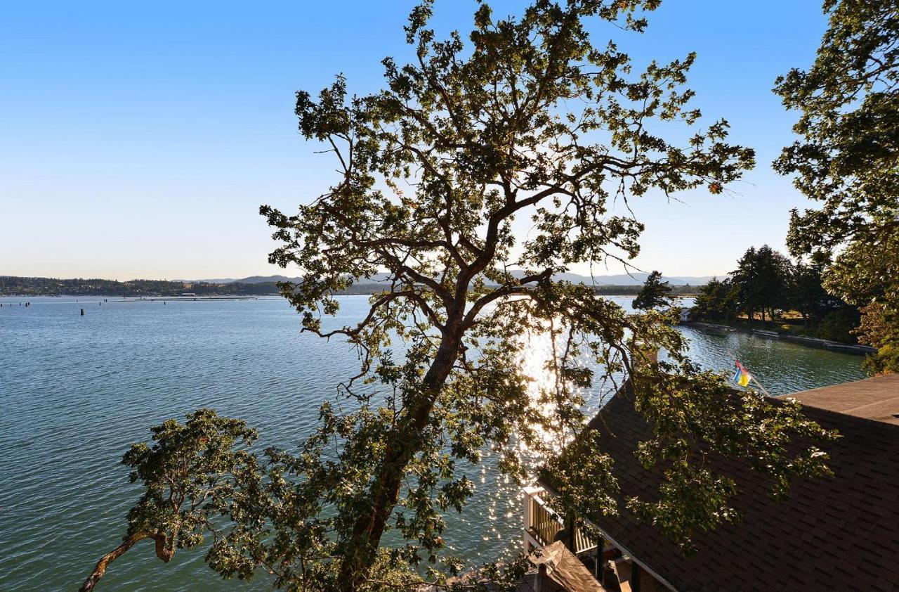 Salishan Tree House Suite Cowichan Bay Eksteriør billede